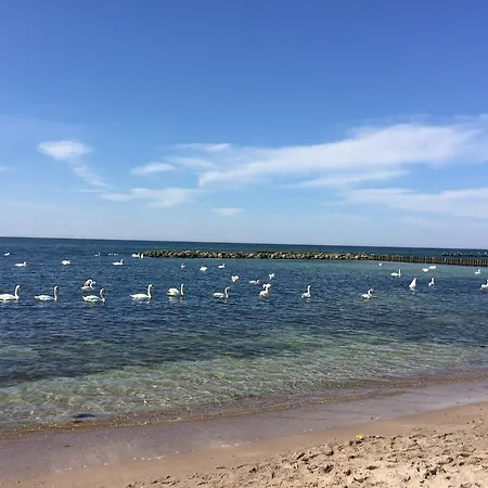 Caloroczny Wschodnie Apartment